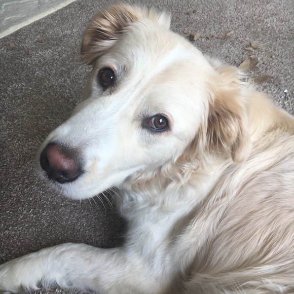 Meet your Posher, Carrie - Picture 6 of 8